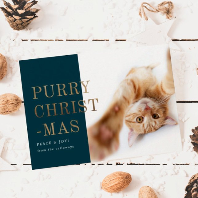 Cartão De Festividades Foto de Gato Puro de Natal Dourado Profundo (Criador carregado)