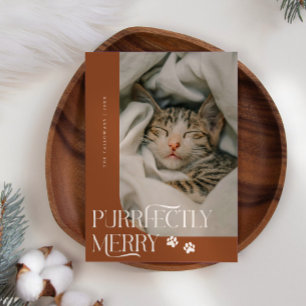 Cartão De Festividades Foto de gato puro e Feliz Terracotta Natal