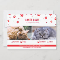 Foto de Natal Bela ou Bela de Dois Gatos