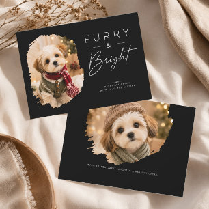 Cartão De Festividades Foto de Natal de Cachorrinho Elegante Fofo e Brilh