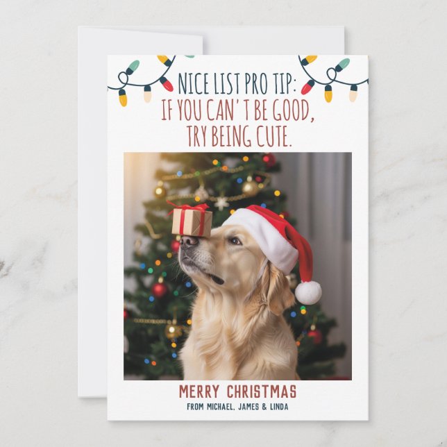 Cartão De Festividades Foto de Natal de Cachorro Engraçado com Nomes Pers (Frente)