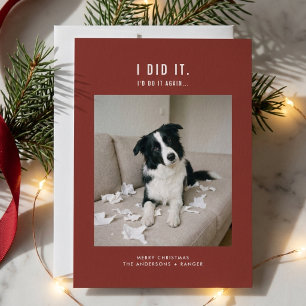 Cartão De Festividades Foto de Natal de Cachorro Engraçado e Pet Fofinho