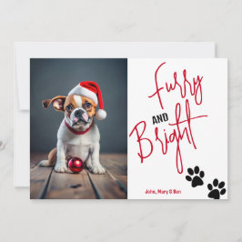 Cartão De Festividades Foto de Natal de Furry e Bright Pet Vermelho