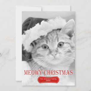 Cartão De Festividades Foto de Natal de gato vermelho meowausto