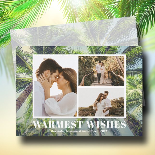 Cartão De Festividades Foto de Natal de Palmeiras Tropicais (Criador carregado)