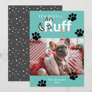 Cartão De Festividades Foto de Natal do Cachorro Azul Turquoise no Ruff A