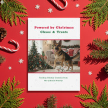 Foto de Natal Engraçada de Cachorro Pet Antigo