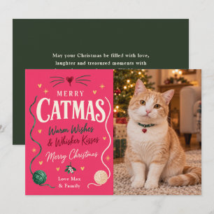Cartão De Festividades Foto de Natal Feliz do Gato