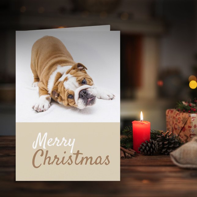 Cartão De Festividades Foto de Natal para Bulldog Inglês (Criador carregado)