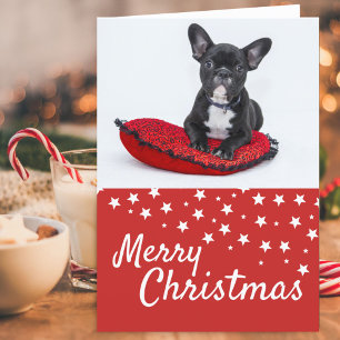 Cartão De Festividades Foto de Natal Personalizada com Cachorrinho Bulldo