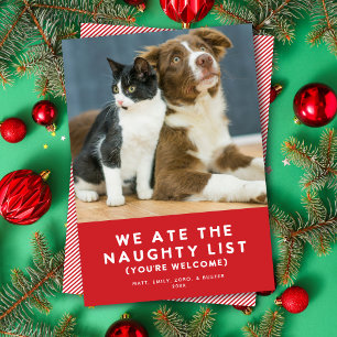 Cartão De Festividades Foto de Natal Pet Foto de Pet da Lista Engraçada