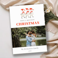 Foto de Patos de Natal com Quacking Red Winter