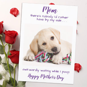 Cartão De Festividades Foto de Pet Engraçado Personalizado Dia de as mães