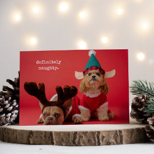Cartão De Festividades Foto de Pet, sem dúvida travessosa, natal bonito