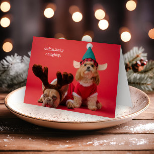 Cartão De Festividades Foto de Pet, sem dúvida travessosa, natal bonito