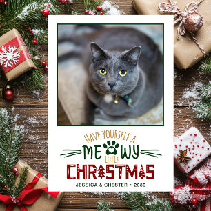 Cartão De Festividades Foto de um Natal Felino