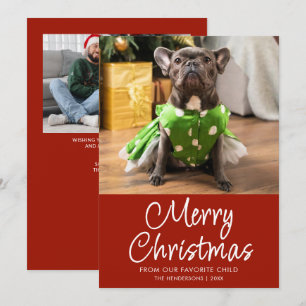 Cartão De Festividades Foto Divertida de Animal de Estimação Feliz Natal 