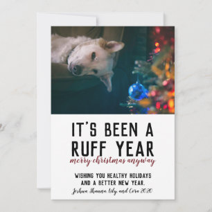 Cartão De Festividades Foto do Cachorro Vermelho de Natal 2020