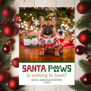 Cartão De Festividades Foto do Cão Santa Paws
