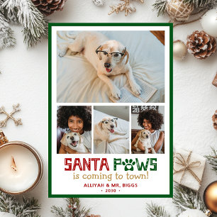 Cartão De Festividades Foto do Cão Santa Paws