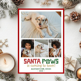 Cartão De Festividades Foto do Cão Santa Paws