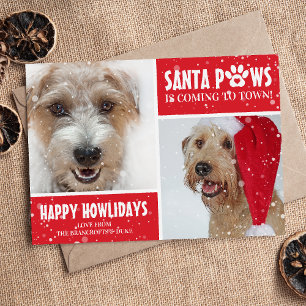 Cartão De Festividades Foto do Cão Santa Paws Feliz Natal Howlidays