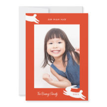 Foto do Coelho Chinês 2023