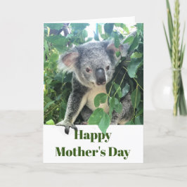 Cartão De Festividades Foto do Dia de as mães Koala Eucalyptus