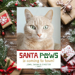 Cartão De Festividades Foto do Gato Santa Paws