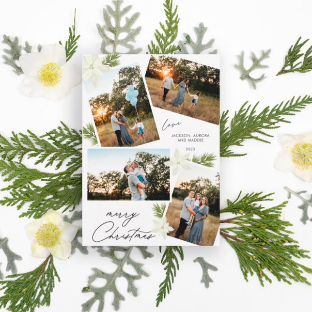 Cartão De Festividades Foto do Natal Moderno 4 Poinsettia (Criador carregado)