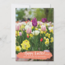 Foto do Primavera de campo de folga "Felz pascoa"