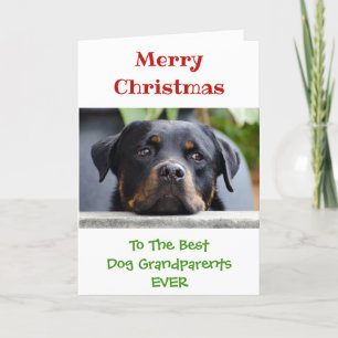 Cartão De Festividades Foto dos Avós dos Melhores Cachorros de Natal