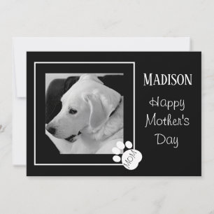 Cartão De Festividades Foto em Preto e Branco de Cachorro Fofo Dia das Mã