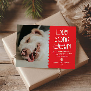 Cartão De Festividades Foto engraçada de animal de estimação do 'Ano Cani