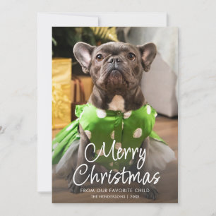 Cartão De Festividades Foto Engraçada de Animal de Natal Família Feliz Na