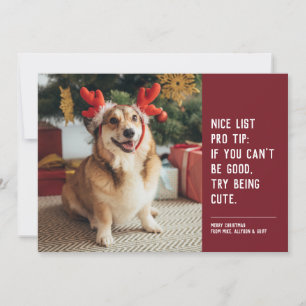 Cartão De Festividades Foto engraçada de animal fofo de Natal vermelho