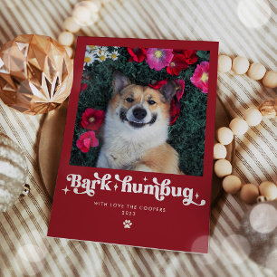 Cartão De Festividades Foto Engraçada de Cachorro Bark Humbug Natal