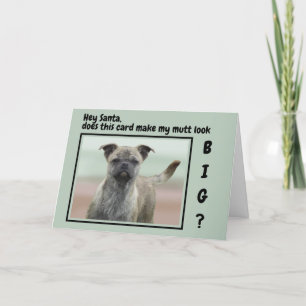 Cartão De Festividades Foto engraçada de cachorro mestiço no Natal 