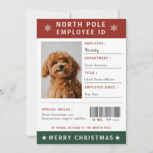 Cartão De Festividades Foto engraçada de ID de funcionário de cachorro no