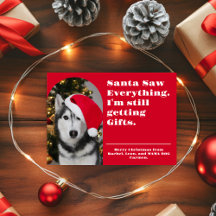 Foto engraçada de Natal do Pet 'Santa Viu Tudo'