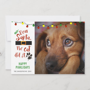 Cartão De Festividades Foto Engraçada do Cachorro Travesso OLÁ PAPAI NOEL
