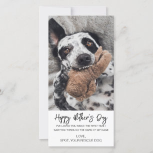 Cartão De Festividades Foto Personalizada De Cachorro Do dia de as mães D