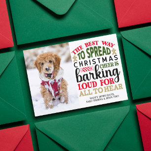 Cartão De Festividades Foto Personalizada de Natal do Cachorro