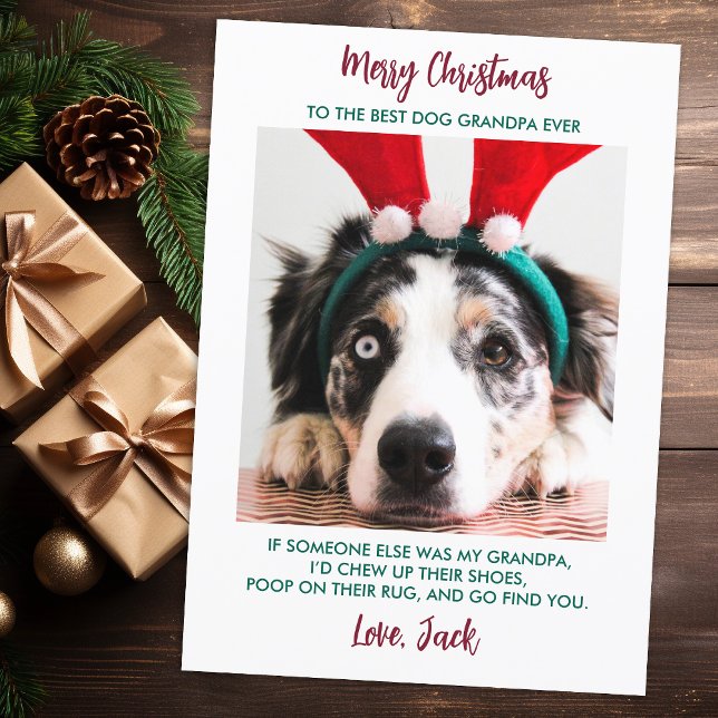 Cartão De Festividades Foto Personalizada De Pet Personalizada De Cachorr (Criador carregado)