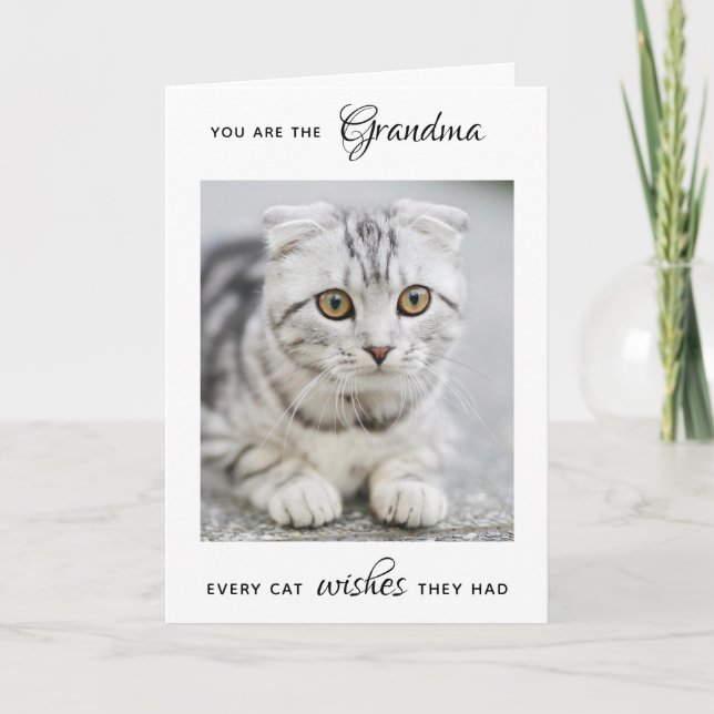 Cartão De Festividades Foto personalizada do Gato de Pet Dia de as mães H (Frente)