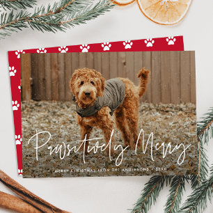 Cartão De Festividades Foto Pet Vermelho Feliz Pawsitivamente