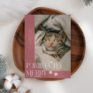 Cartão De Festividades Foto rosa de gato perfeitamente Feliz