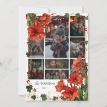 Foto Rustic Red Amaryllis Natal