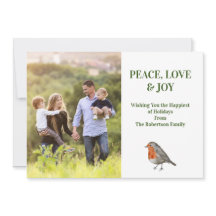 Fotografia Moderna do Redbreast Robin Bird