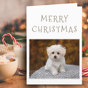 Cartão De Festividades Fotos de Cachorro Fofo Pet Estrelas Brancas Feliz 